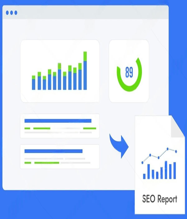 Sample SEO Audit Report from Aanve Digital Solutions showing detailed analysis and recommendations